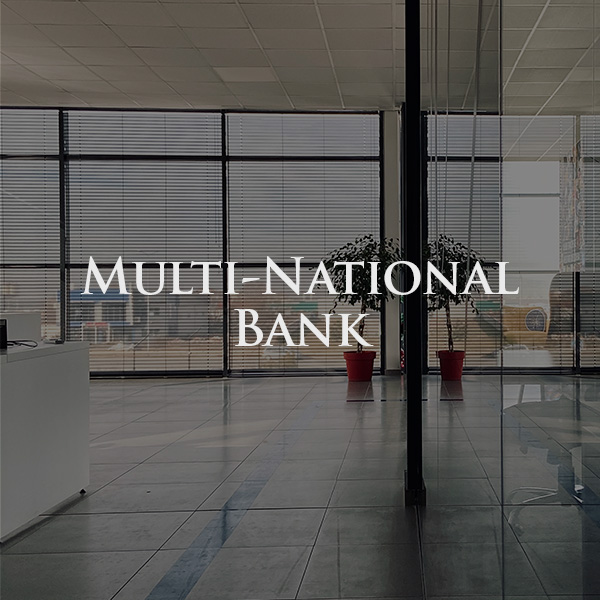 Multi-National Bank